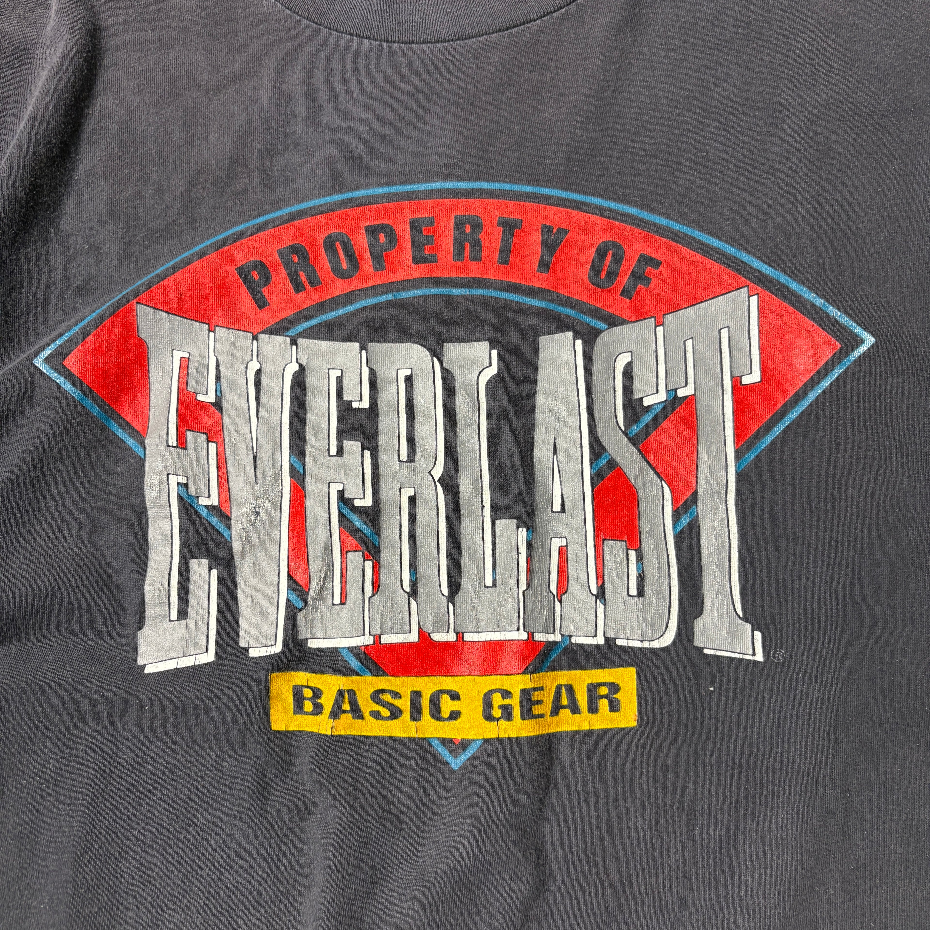 VINTAGE EVERLAST FADED TEE